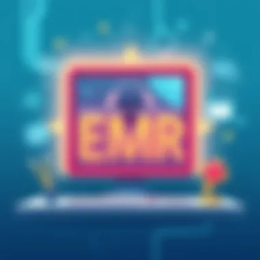 Magnificent The Role of EMR in Healthcare: A Comprehensive Exploration Magnificent The Role of EMR in Healthcare: A Comprehensive Exploration