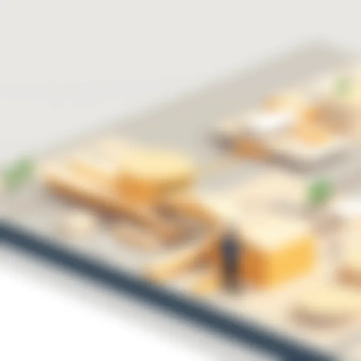 User experience in architecture software with intuitive navigation