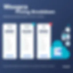 Detailed overview of Woopra's pricing tiers