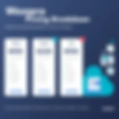 Woopra Pricing Tiers Overview Detailed overview of Woopra's pricing tiers