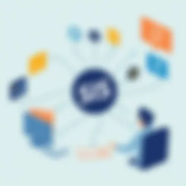 Challenges faced during SIS implementation in schools