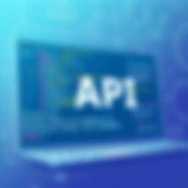 User interface of an alternative API tool