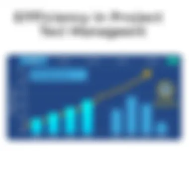 Efficiency in Project Management Graph illustrating the efficiency of SAP project management