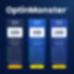 Overview of OptinMonster pricing tiers