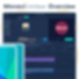 Visual representation of Movavi software interface