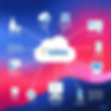 Illustration of seamless integration between Taleo Recruiting and various HR systems.