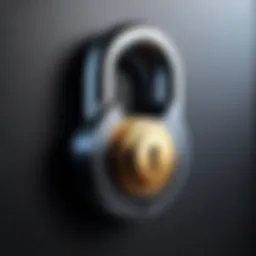 A secure digital lock symbolizing software security evaluations