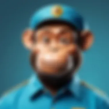 Exploring Mailchimp Survey Features Visual representation of Mailchimp survey features