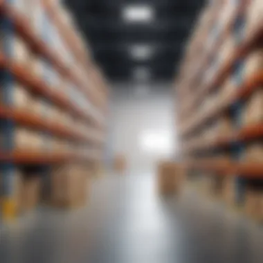 Challenges in warehouse integration software adoption